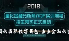 探秘中国的国际数字钱包