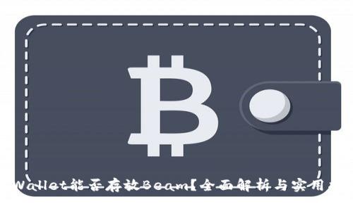 TPWallet能否存放Beam？全面解析与实用指南