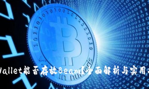 TPWallet能否存放Beam？全面解析与实用指南