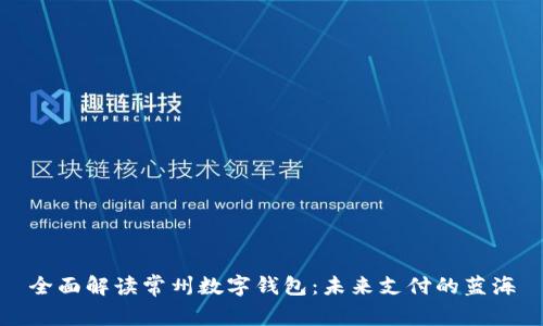 全面解读常州数字钱包：未来支付的蓝海
