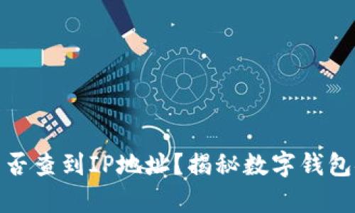 tpwallet被盗能否查到IP地址？揭秘数字钱包安全及防盗措施