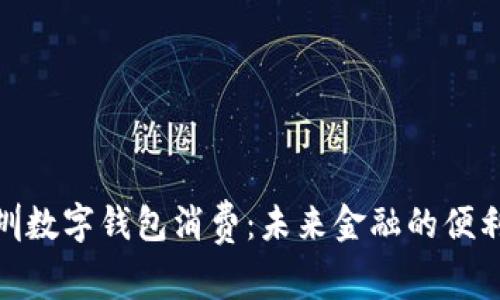 探索深圳数字钱包消费：未来金融的便利与安全