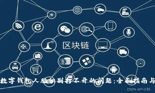 如何解决数字钱包人脸识别打不开的问题：全面指南与解决方案