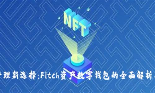 数字资产管理新选择：Fitch资产数字钱包的全面解析与定价揭秘