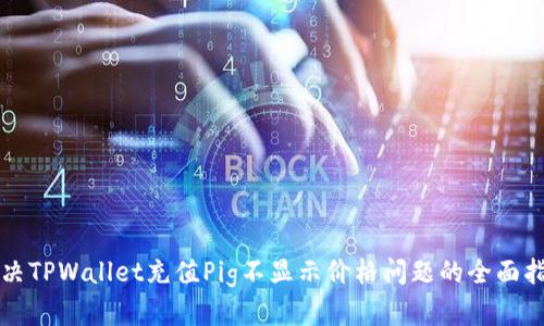 解决TPWallet充值Pig不显示价格问题的全面指南