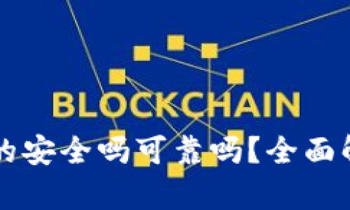 区块链钱包真的安全吗可靠吗？全面解析与用户指南