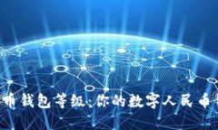 了解数字人民币钱包等级