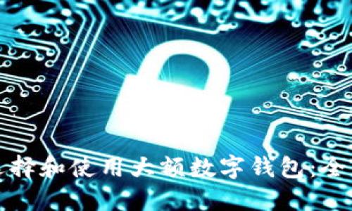 如何选择和使用大额数字钱包：全面指南