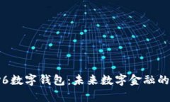  全面解析IPv6数字钱包：未