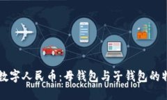 全面解读数字人民币：母