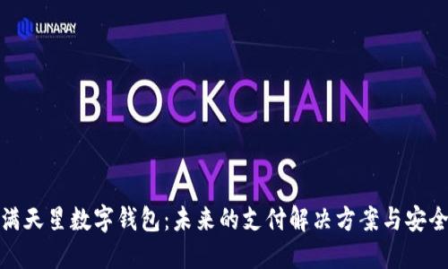 探索满天星数字钱包：未来的支付解决方案与安全策略
