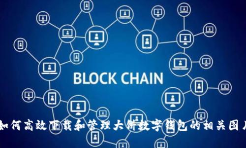 如何高效下载和管理大饼数字钱包的相关图片