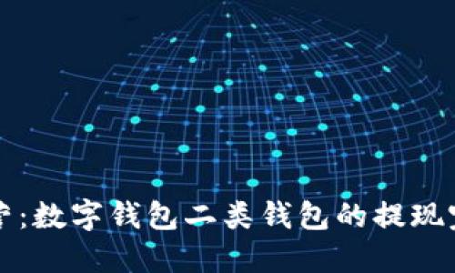 步步为营：数字钱包二类钱包的提现完全指南