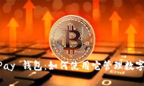 全面解析 CGPay 钱包：如何使用它管理数字货币及其特点