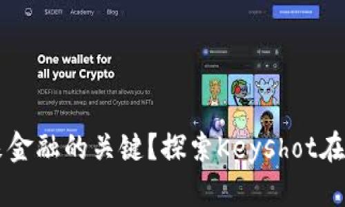 为什么数字钱包是未来金融的关键？探索Keyshot在数字钱包中的应用潜力