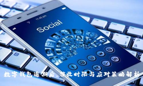 数字钱包逾期后，催收时限与应对策略解析