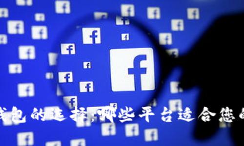 探索数字钱包的选择：哪些平台适合您的支付需求