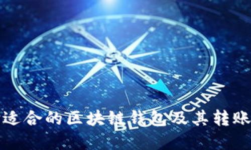 如何选择适合的区块链钱包及其转账流程详解