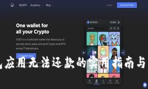 解决数字钱包应用无法还款的实用指南与常见问题解析