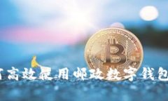 全面指南：如何高效使用