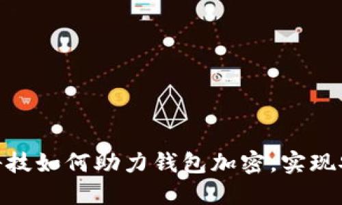 : 现代科技如何助力钱包加密，实现安全支付