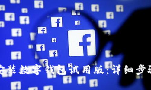 如何下载并安装数字钱包试用版：详细步骤与注意事项