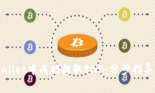 如何在TPWallet中成功提取BNB：分步指导与注意事项