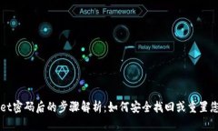 忘记TPWallet密码后的步骤解