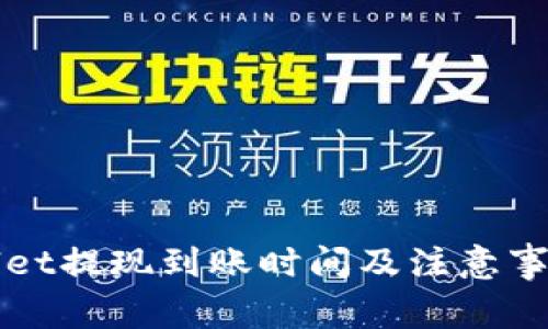 TPWallet提现到账时间及注意事项详解