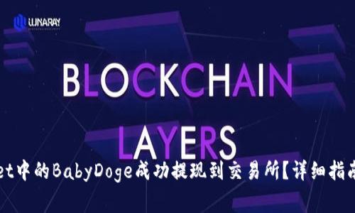 : 如何将TPWallet中的BabyDoge成功提现到交易所？详细指南与常见问题解析