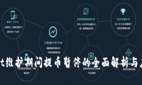 TPWallet维护期间提币暂停的全面解析与应对策略