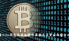 探索Coin钱包无法加密的原