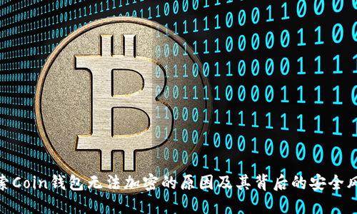 探索Coin钱包无法加密的原因及其背后的安全风险