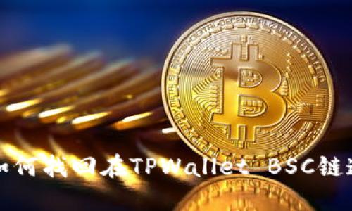  完整指南：如何找回在TPWallet BSC链遗失的加密币