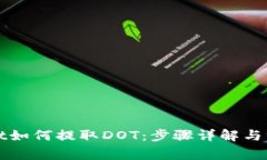 TPWallet如何提取DOT：步骤详