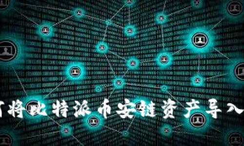 全面指南：如何将比特派币安链资产导入TPWallet钱包