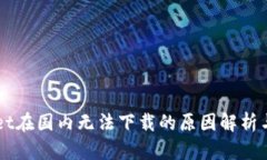  TP Wallet在国内无法下载的