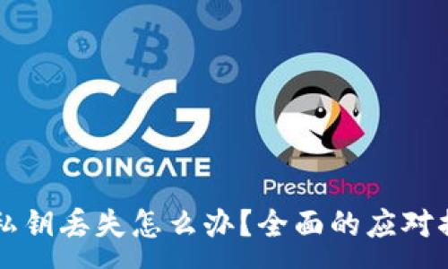 :
TPWallet私钥丢失怎么办？全面的应对措施与建议