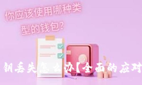 :
TPWallet私钥丢失怎么办？全面的应对措施与建议