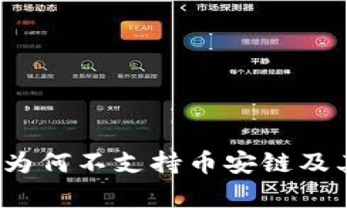 深入探讨：TP钱包为何不支持币安链及其背后的原因解析