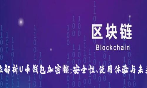 全方位解析U币钱包加密锁：安全性、使用体验与未来发展