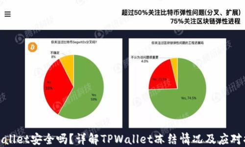 
TPWallet安全吗？详解TPWallet冻结情况及应对措施