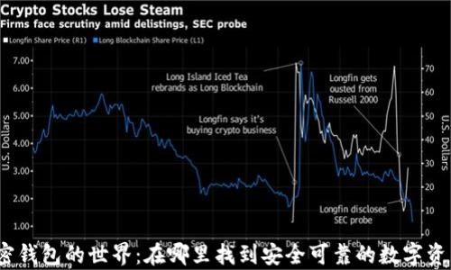 
探寻加密钱包的世界：在哪里找到安全可靠的数字资产存储？