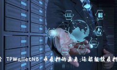 探索 TPWalletNB 币质押的未
