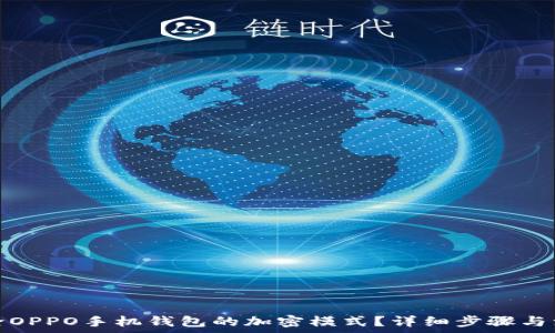   
如何解除OPPO手机钱包的加密模式？详细步骤与注意事项