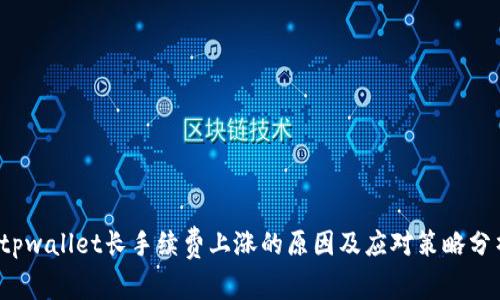  tpwallet长手续费上涨的原因及应对策略分析