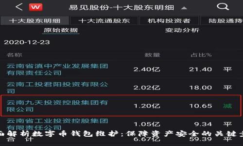 全面解析数字币钱包维护：保障资产安全的关键步骤