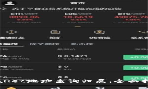 如何使用TPWallet地址查询归属：全面指南与实用技巧